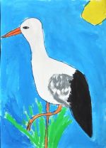 Dávidíková Adrianka.jpg